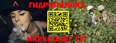 прущие грибы Заволжье