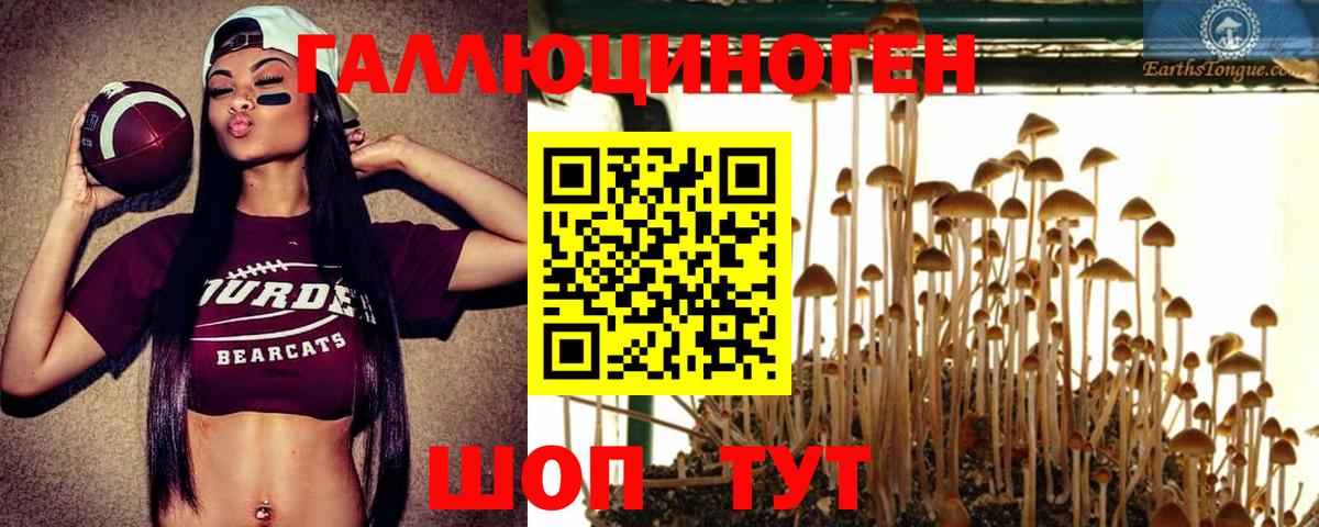 Псилоцибиновые грибы Magic Shrooms  Вход с VPN  Ивантеевка 